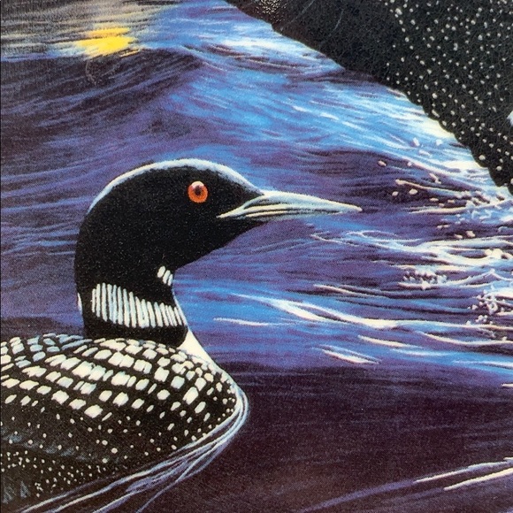 “Night Light” Loon Collector Plate - Picture 3 of 7